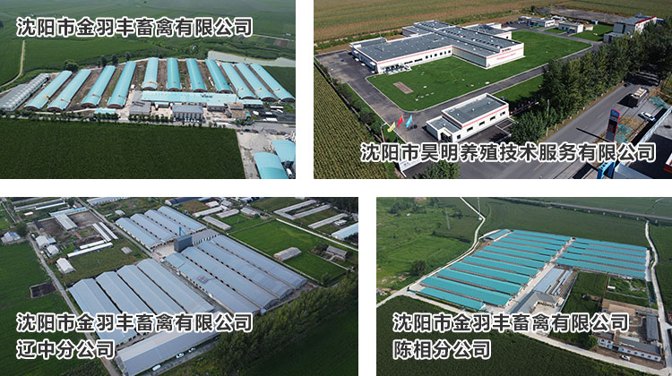 種禽飼養孵化(huà)01.jpg