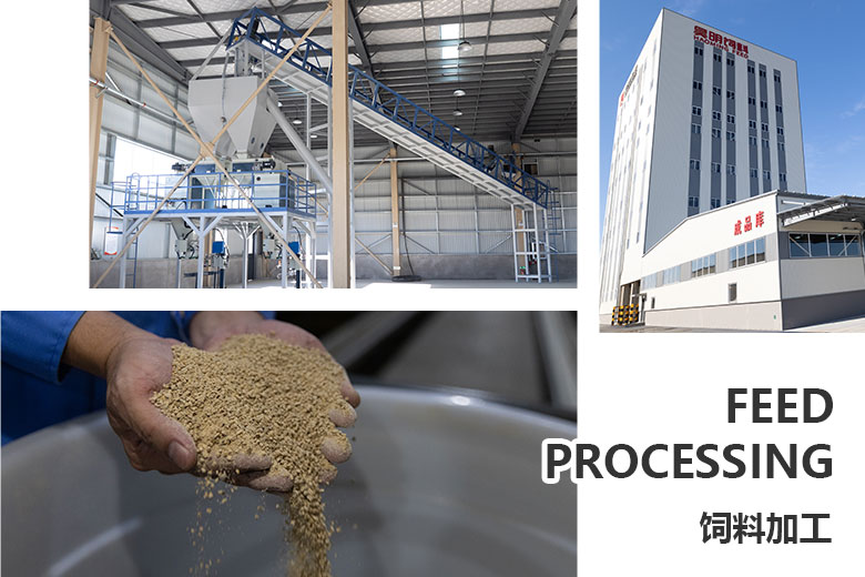 飼料加工(gōng).jpg